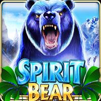 Spirit Bear